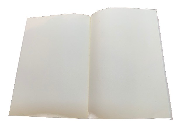 Diario in pelle LEONARDO – uomo vitruviano – chiusura con il laccio - Image 13