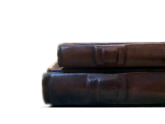 LIBRO FIRMA “RINASCIMENTO”– copertina rigida - immagine 6