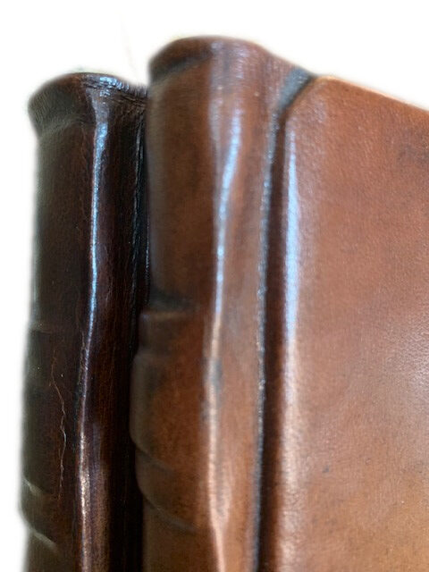 LIBRO FIRMA “RINASCIMENTO”– copertina rigida - immagine 8