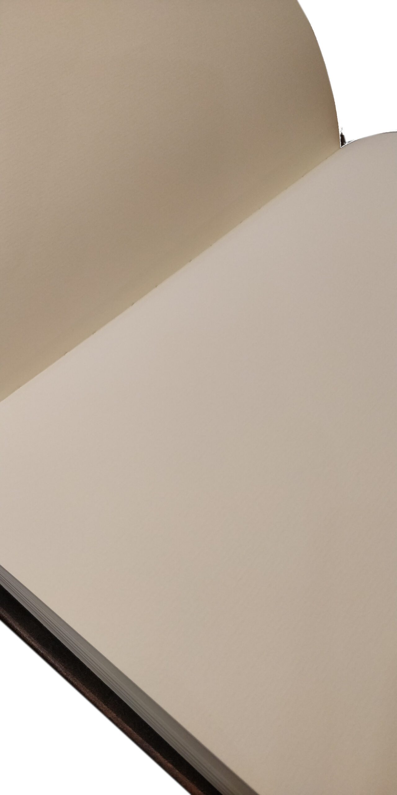 Libro firma in pelle “ORO ANTICO”– copertina rigida - Image 2