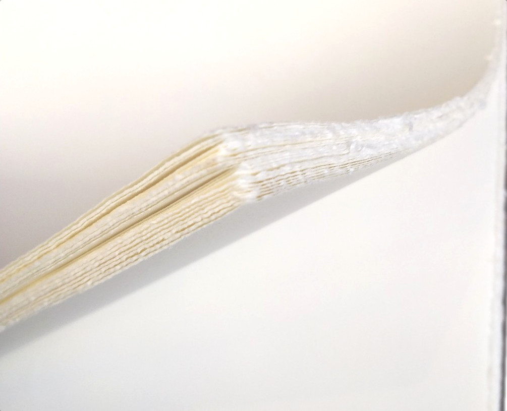 LIBRO FIRMA “RINASCIMENTO”– con Carta di Amalfi - copertina rigida - immagine 5